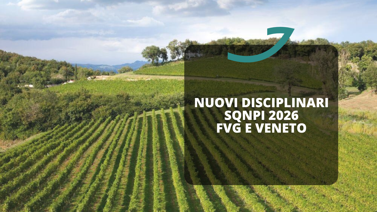 nuovi disciplinari sqnpi 2026 fvg e veneto
